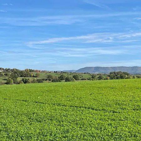 Gemuetliche 3 Mit Grosszuegiger Terrasse Im Gruenen דירה רויטלינגן