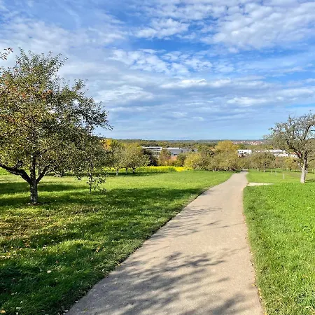 Gemütliche 3 Mit Großzügiger Terrasse Im Grünen